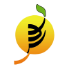 logo-new logo-new